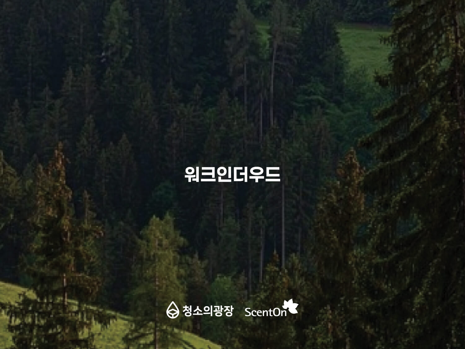 사무실향기추천_청소의광장_워크인더우드 사무실 향기 추천 첫번째, 숲 향이 은은하게 퍼지는 느낌의 워크인더우드 시향지